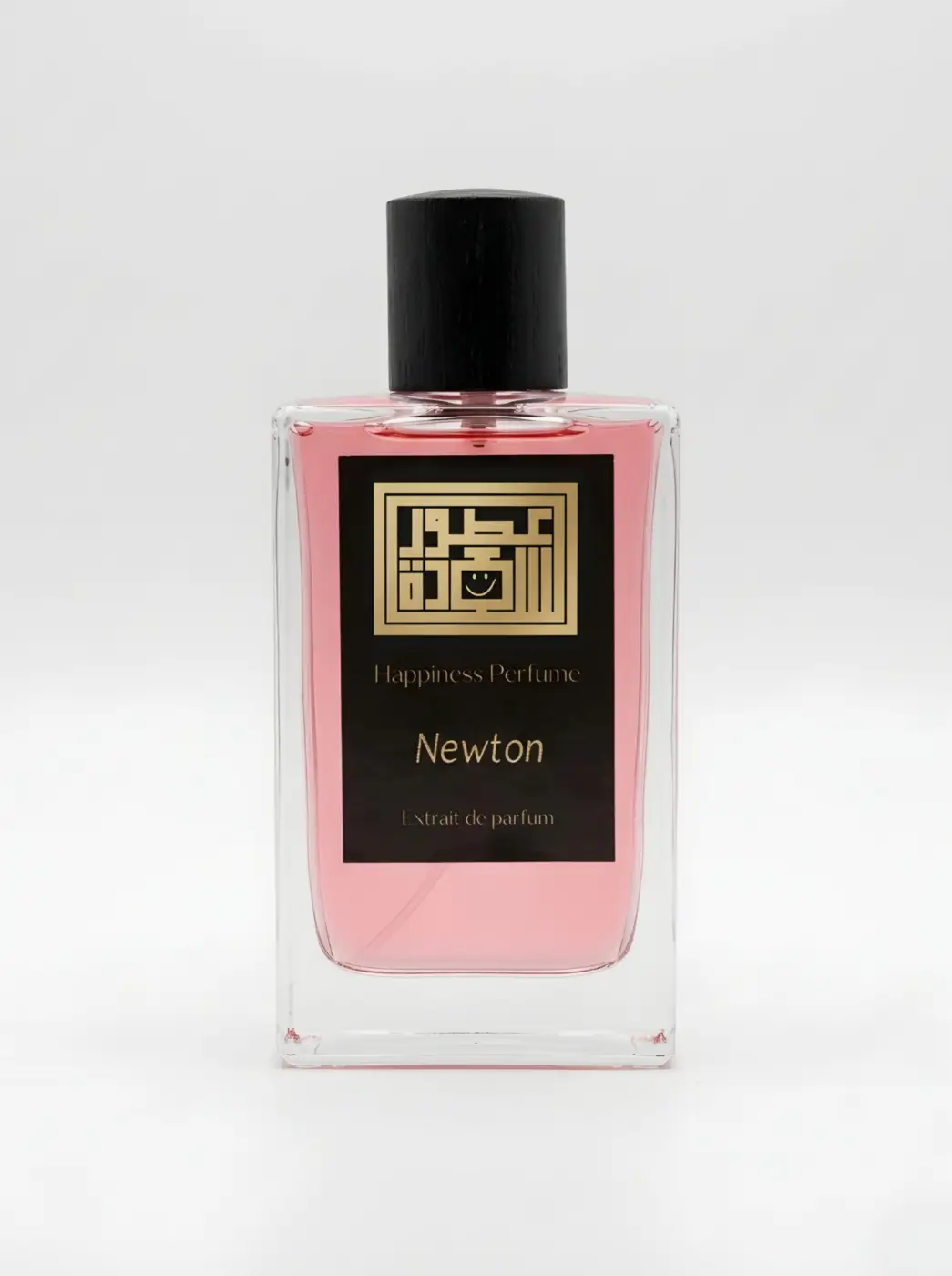 Newton
